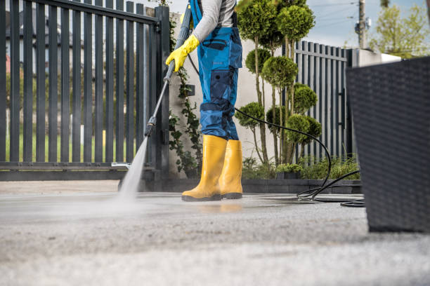 Best Driveway Cleaning and Restoration in Aust, IN